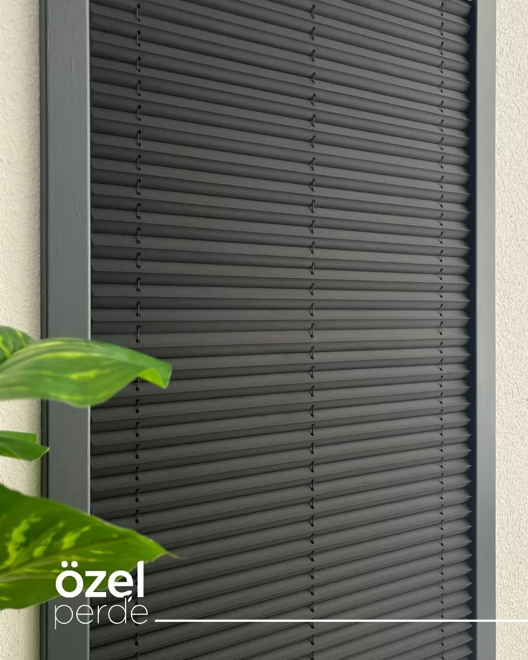 Perla Plise - Siyah görsel 3